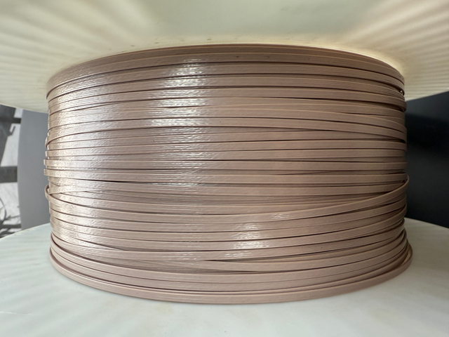 Extruded PEEK flat wire
